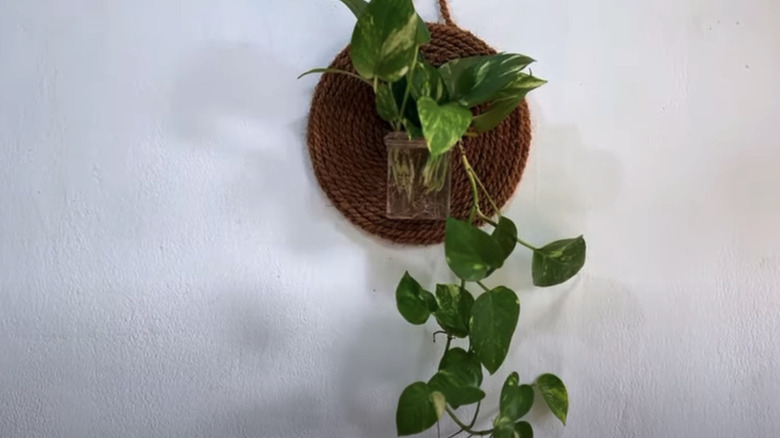 Cookie tin wall planter