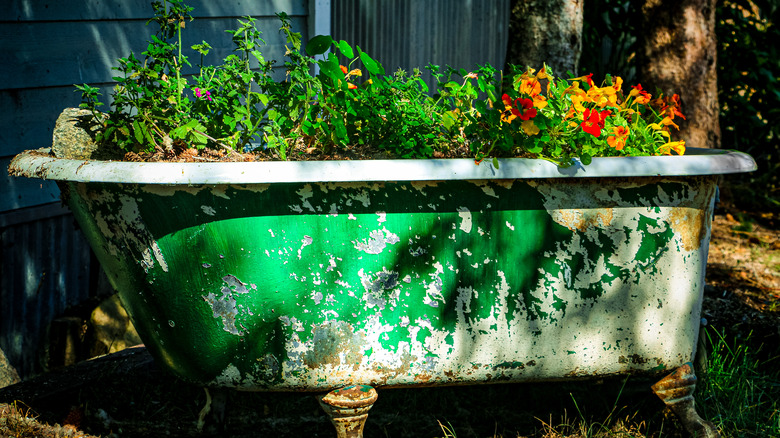 bathtub planter