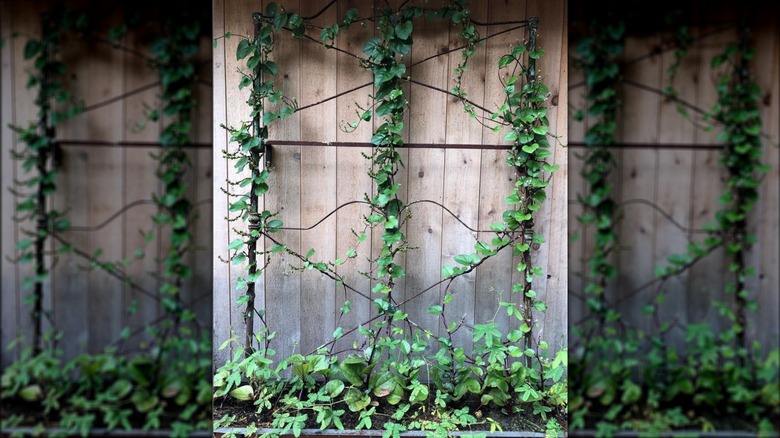 16 Ways To Add Charm To Your Yard And Garden With Rusted Metal