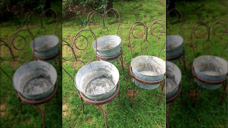 galvanized bucket planters