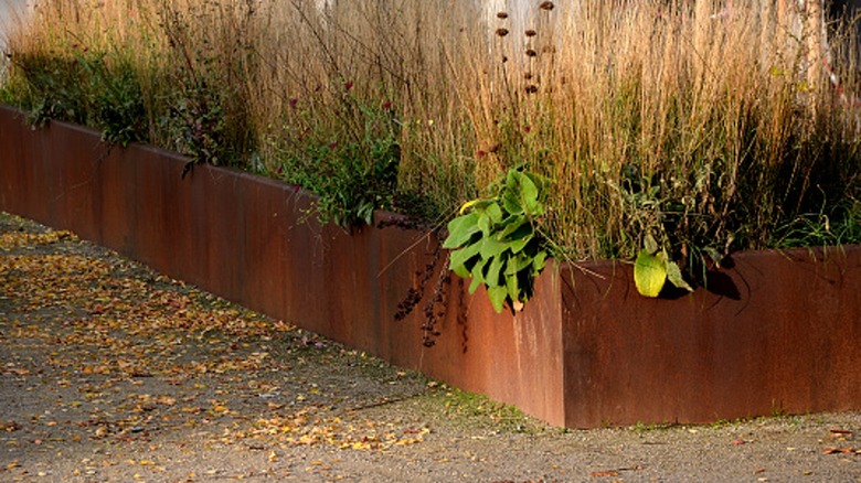 metal raised bed