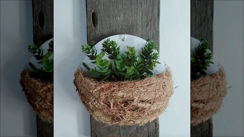 plant in round diy wall planter