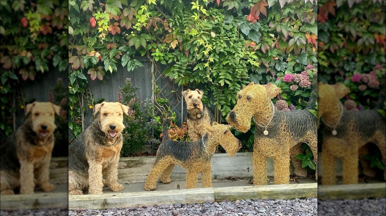 chicken wire dog statues