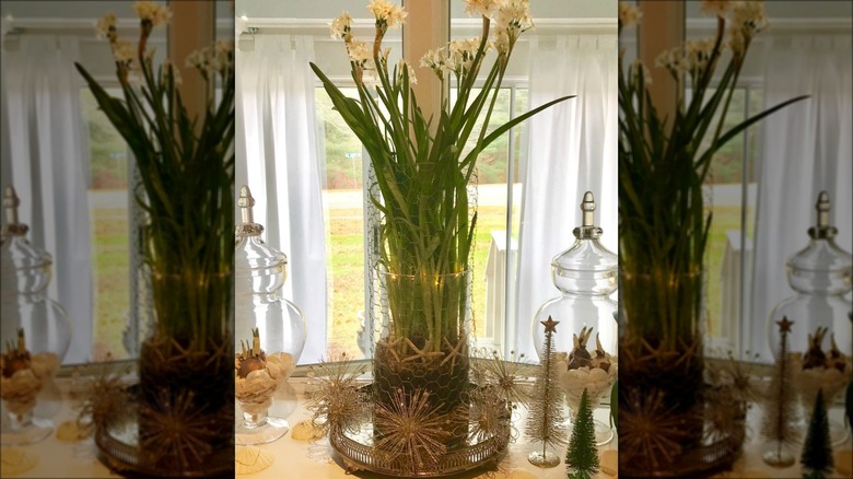 flower display with chicken wire