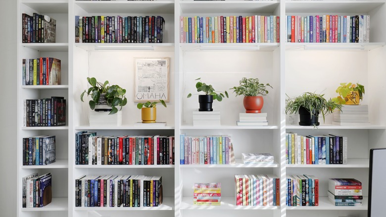 Books on a bookshelf