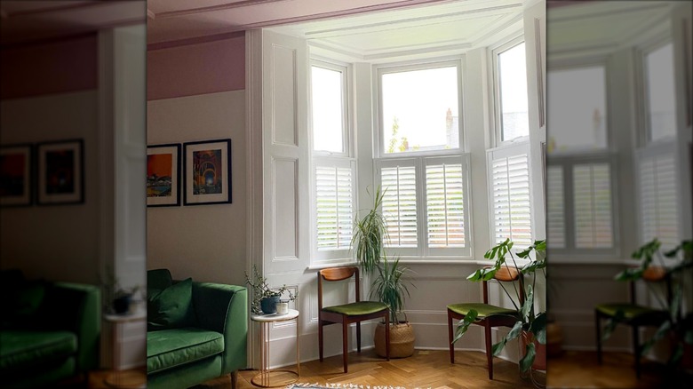 Cafe shutters on bay window behind plants