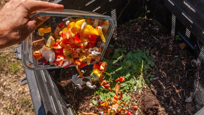 Compost bin in yard