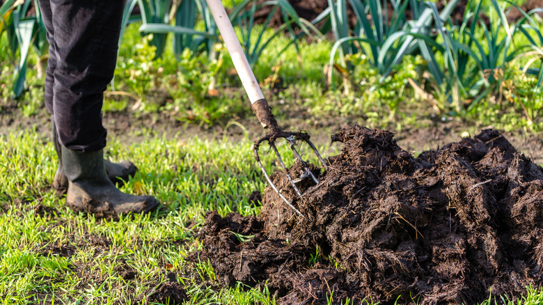 Manure in garden