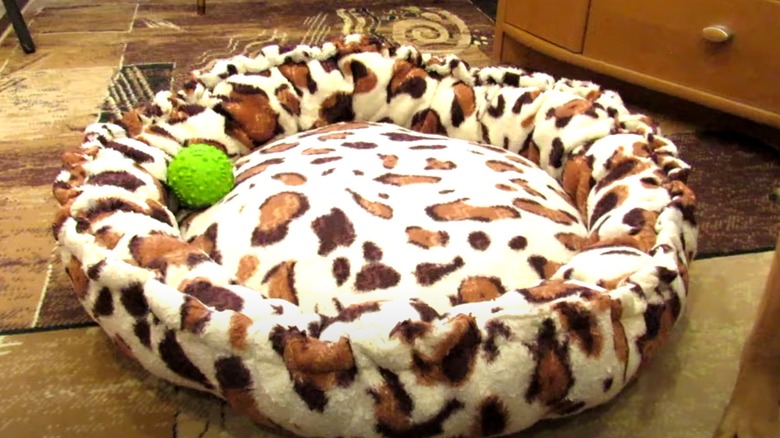 fluffy pet bed