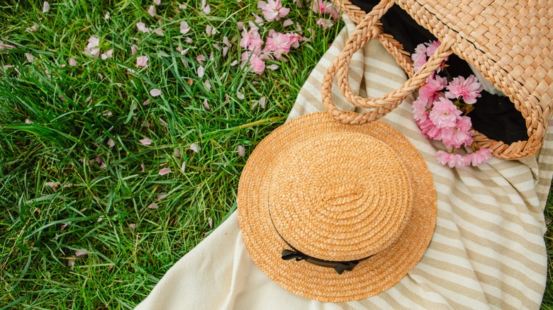 blanket in grass