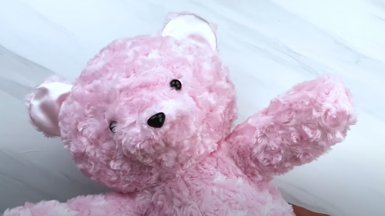 pink teddy bear