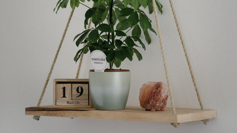 swing shelf made from pallets