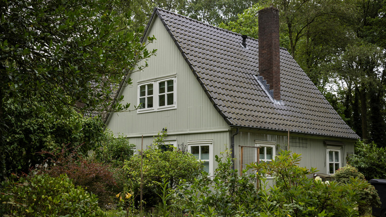 Green home in woods