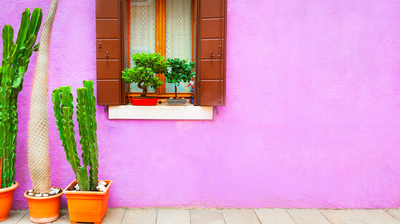 Bright pink wall on patio