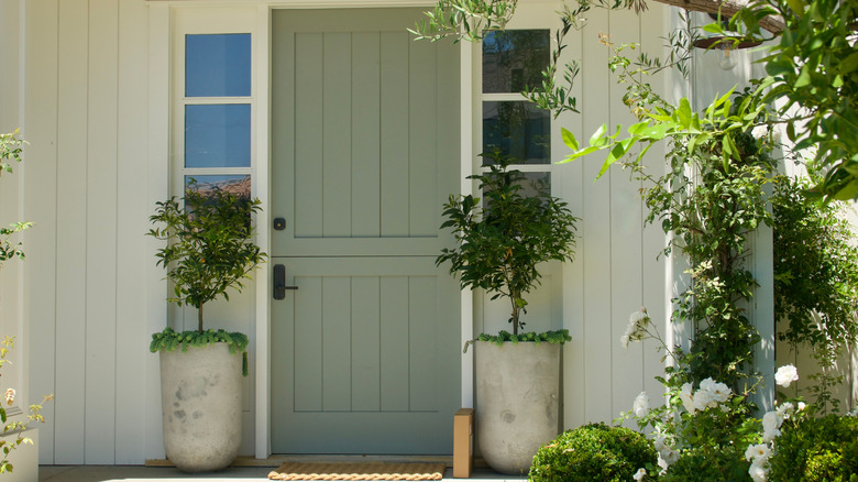 Sage green door on white house