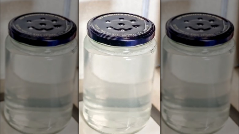 pickle jar fly trap