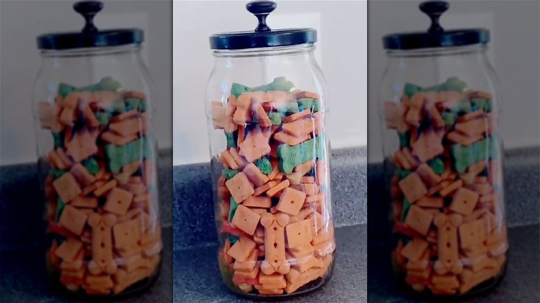 dog treats in pickle jar