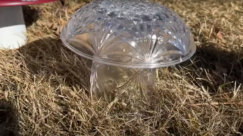 glass mushroom in grass