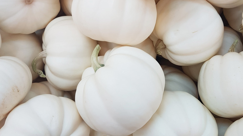 white pumpkins