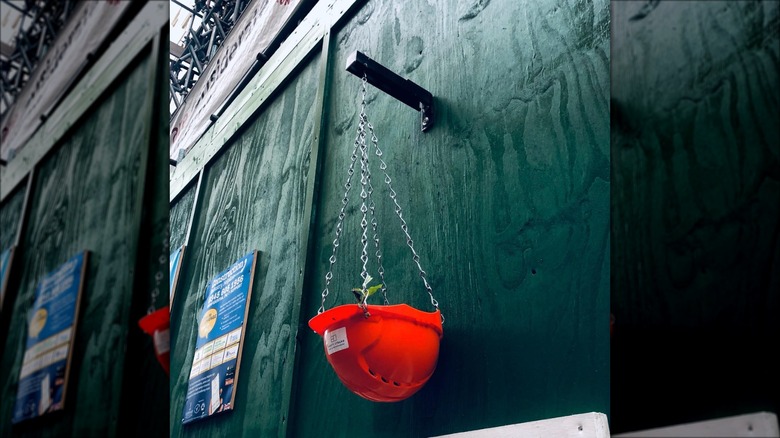 orange hardhat hanging planter