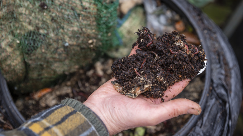 man holding compost in hand