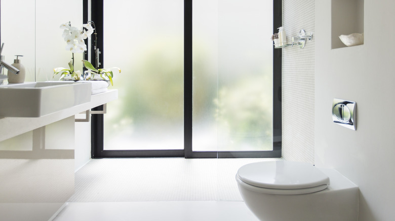 Bathroom with frosted privacy glass