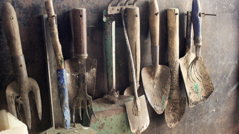 Gardening tools on wall