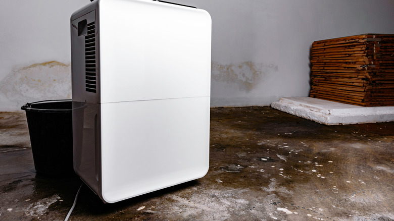 Dehumidifier sitting in an damp garage