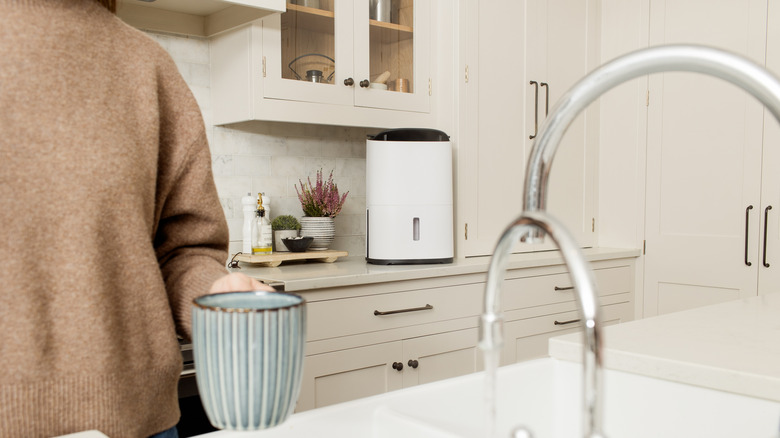 Dehumidifier on counter in kitchen