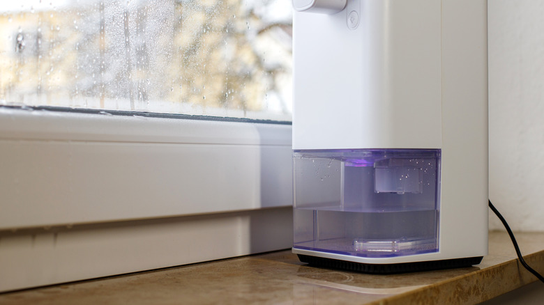 Dehumidifier sitting near a damp window