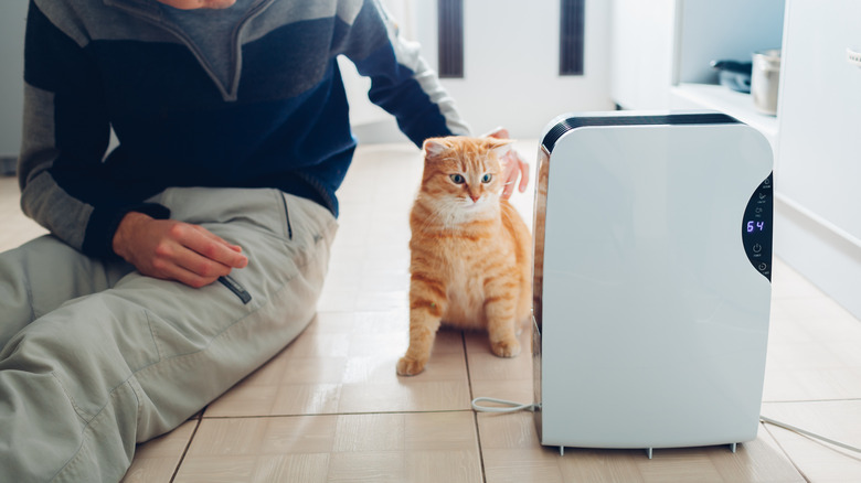 Man and orange cat sitting near dehumidifier