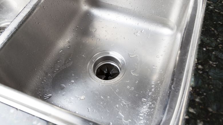 kitchen sink garbage disposal