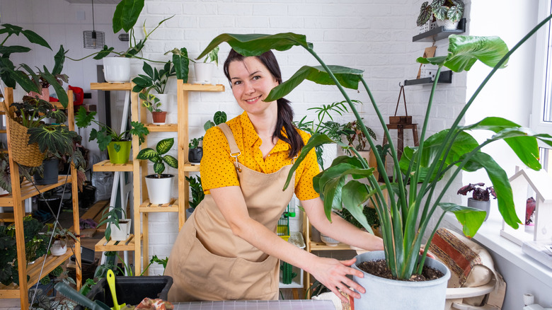 woman with bird of paradise