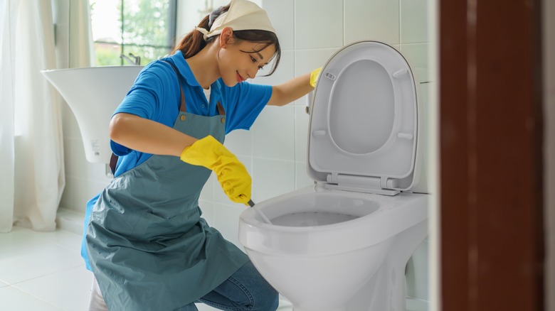 Person cleaning toilet