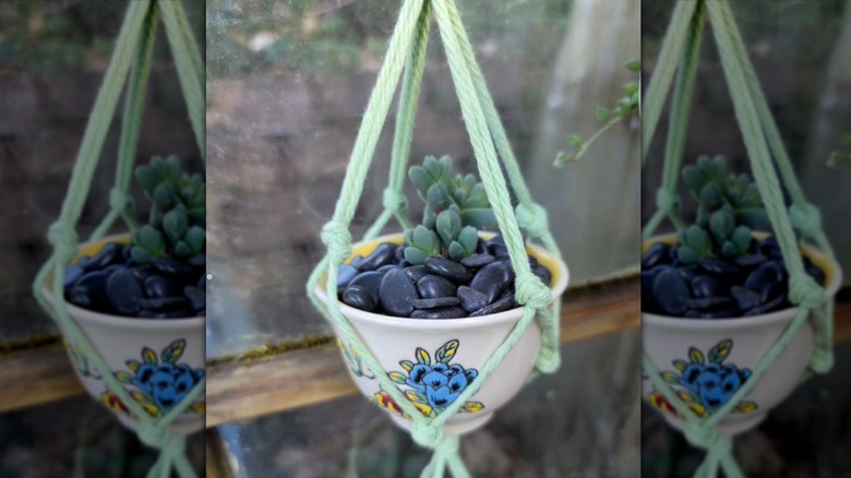 macrame hanging teacup planter 