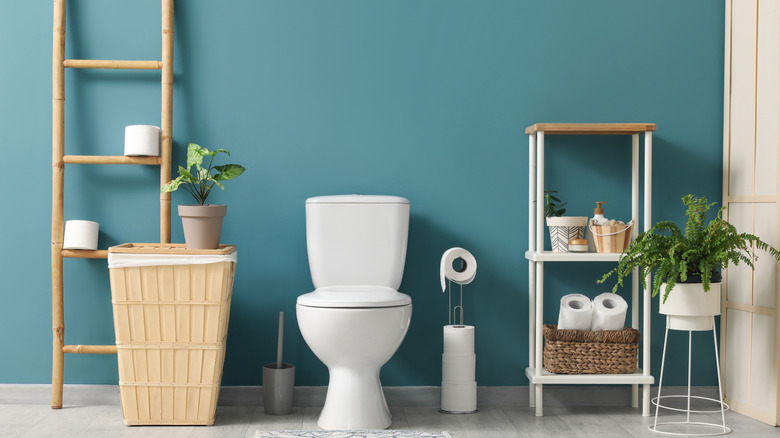 Ocean blue wall behind toilet