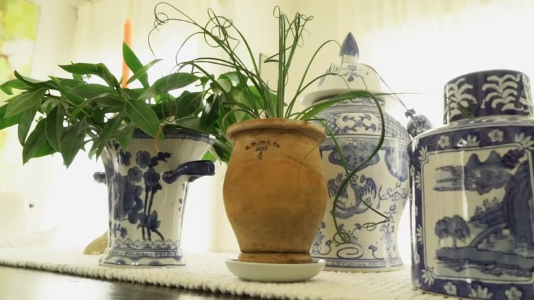 ceramic bowl under flower pot