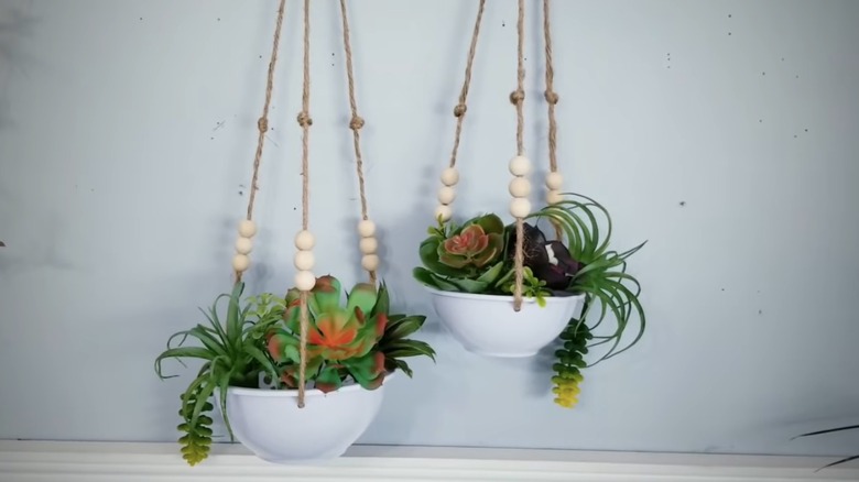 hanging planters with succulents