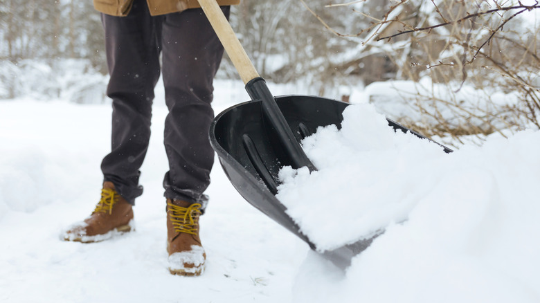 person shoveling snow with black shovel