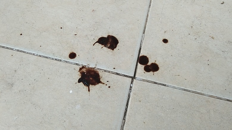 Drops of black paint on white tiled floors.