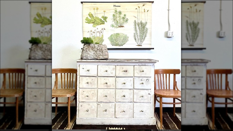 white apothecary cabinet