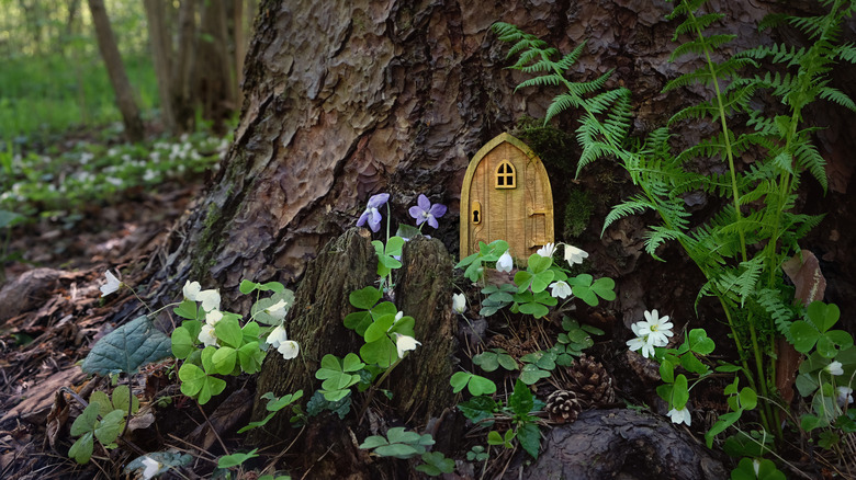 fairy door in tree