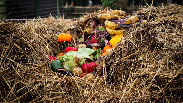 compost with straw and kitchen waste