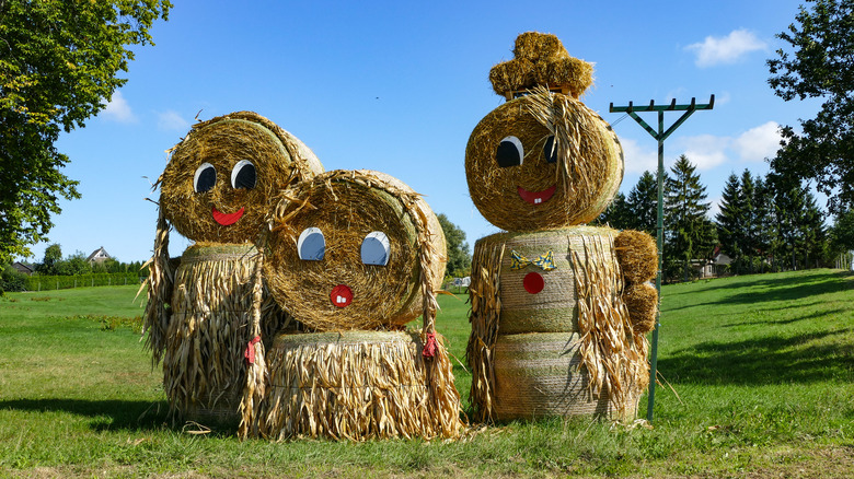 family straw bales