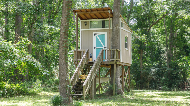 taupe treehouse with blue door