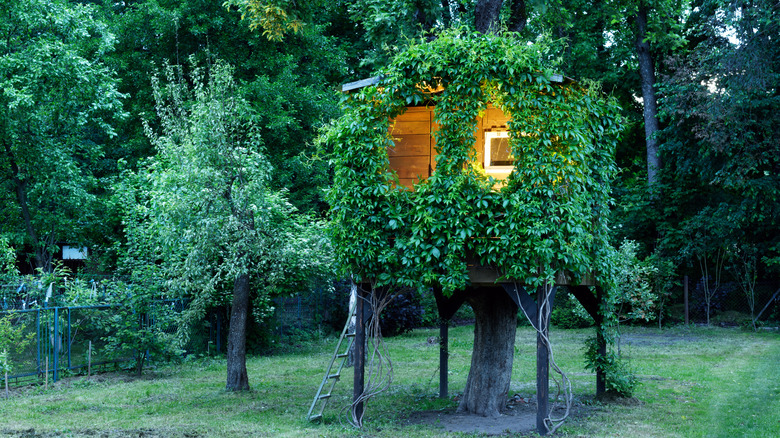 treehouse covered in green vines