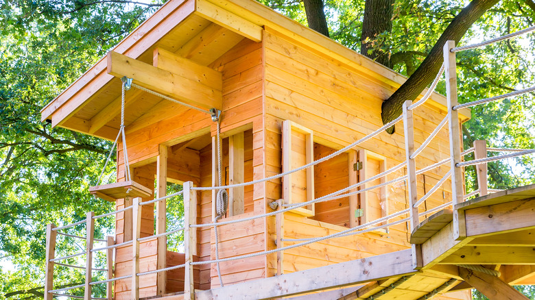wooden treehouse with pulley system