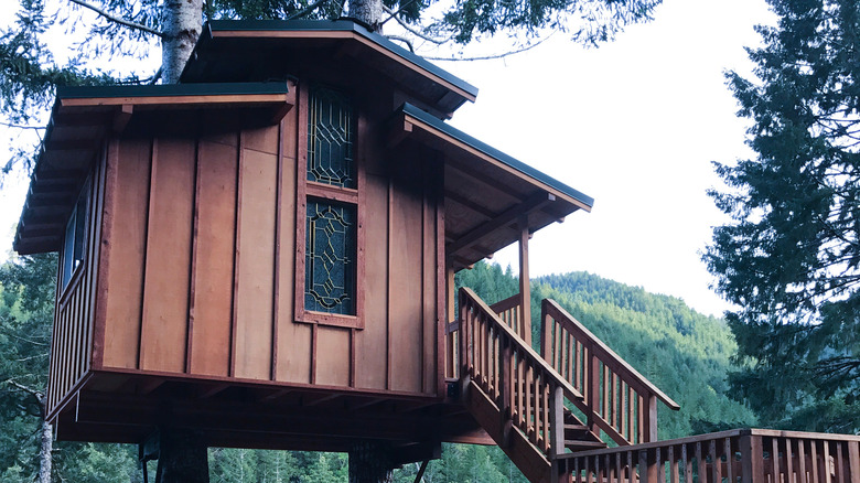 wooden treehouse with staircase