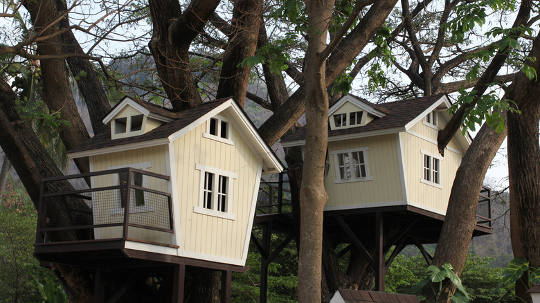 two yellow cottage treehouses
