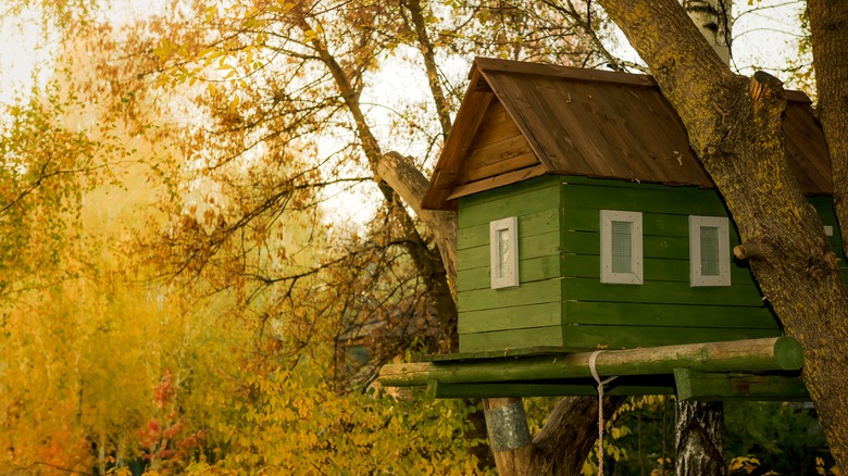 green painted treehouse with windows